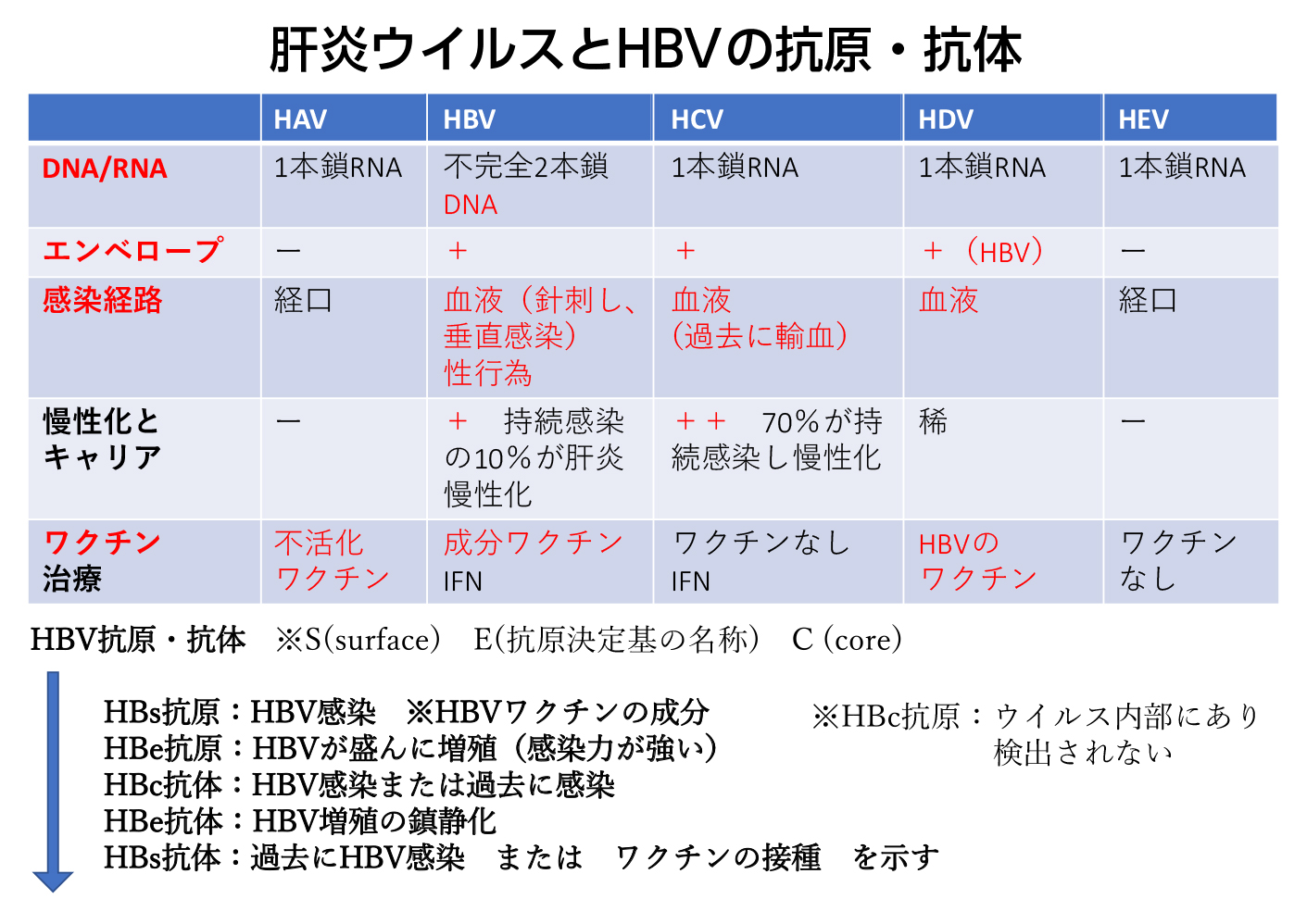 画像をタップすると、PDF形式で表示され印刷もできます。