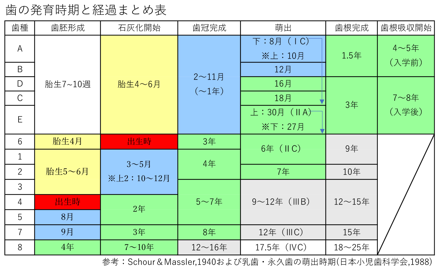 画像をタップすると、PDF形式で表示され印刷もできます。