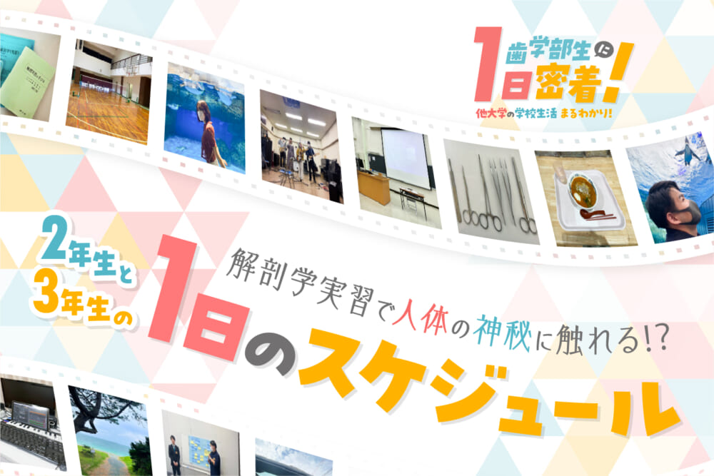 解剖学実習で人体の神秘に触れる⁉ 2年生と3年生の1日のスケジュール／他大学の学校生活まるわかり　歯学部生に1日密着！#1