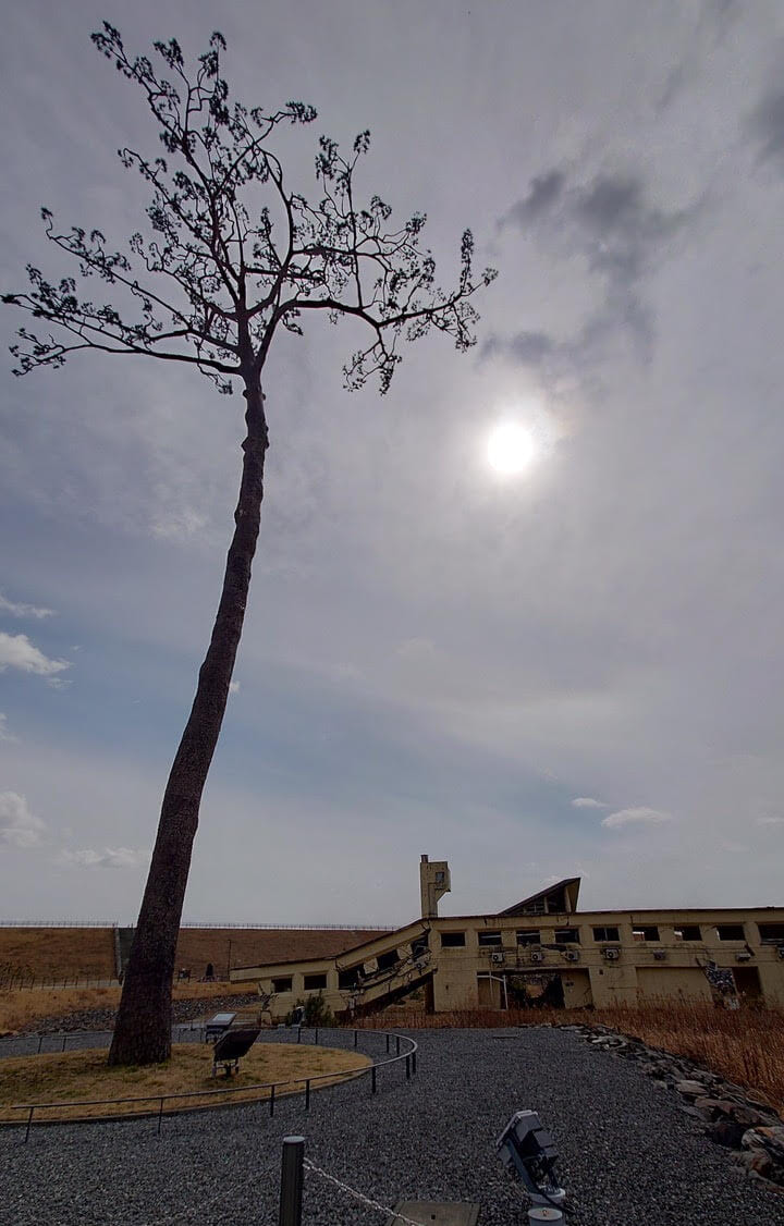 東日本大震災で津波に耐えて残った「奇跡の一本松」。現在は高田松原津波復興祈念公園内の「希望の象徴」モニュメントとなっている。