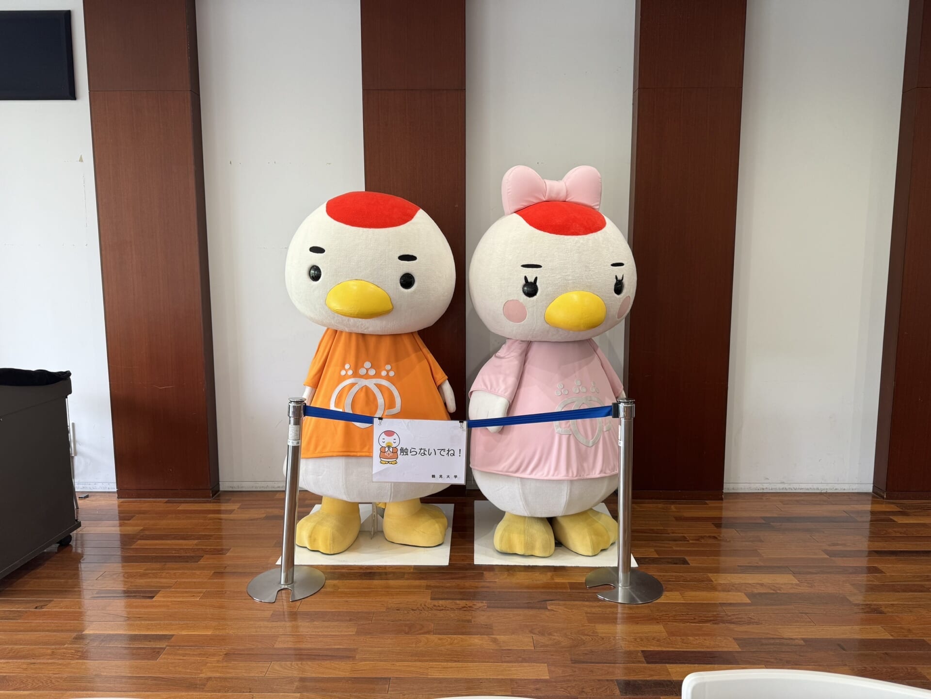 なぜか食堂にいる、鶴見大学のマスコットキャラクターのつるみん(左)とつるたん(右)