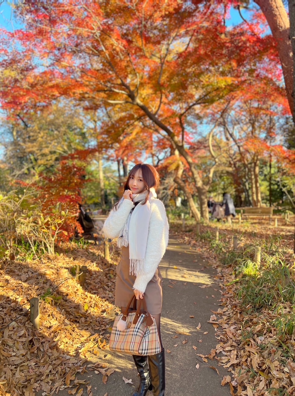 ジブリ美術館前の紅葉と