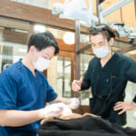 「ここでなら成長できる」 その確信は強まるばかり