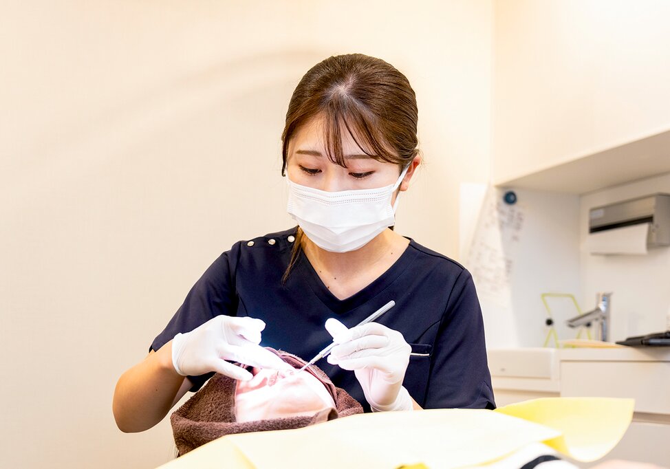 東京都の(1)森下ベリタス歯科または(2)蔵前ベリタス歯科の写真3