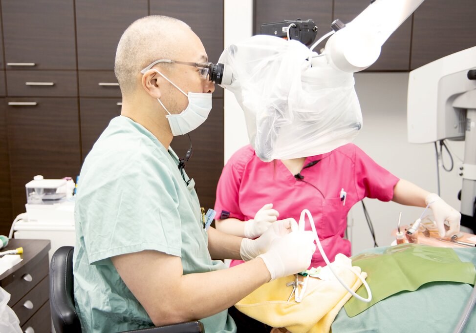 青森県の(1)かみきたデンタルクリニックまたは(2)のへじ矯正小児歯科の写真2